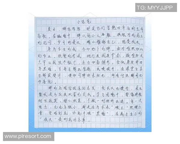 刘泽一的成长之路：从普通学生到优秀人才的蜕变与奋斗历程