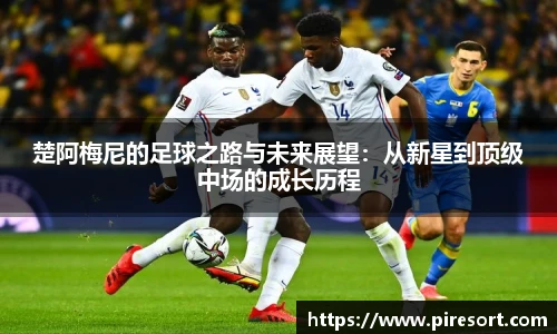 ld乐动官方网址