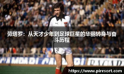 ld乐动在线
